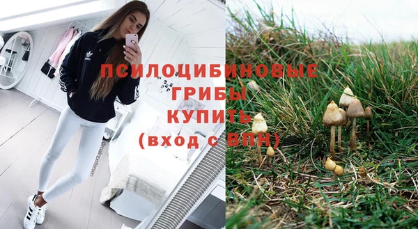 бутират Алзамай